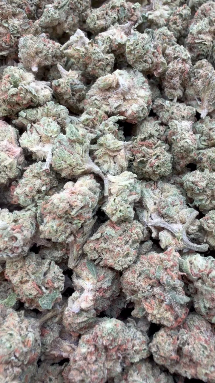 Banana Runtz Littles - Bulk Littles - Hybrid