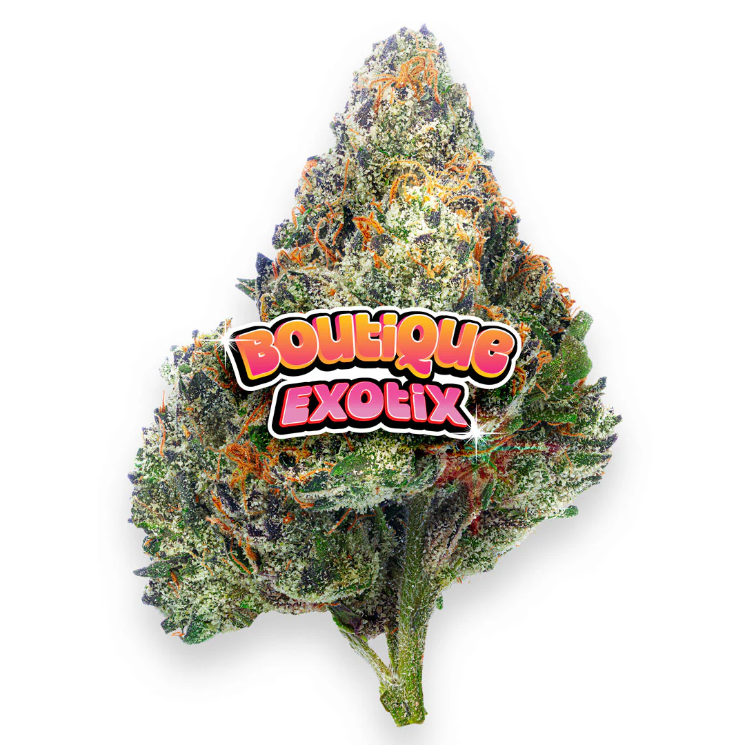 Boutique Exotics Coffin Candy - 28 Grams - Hybrid - Image 4