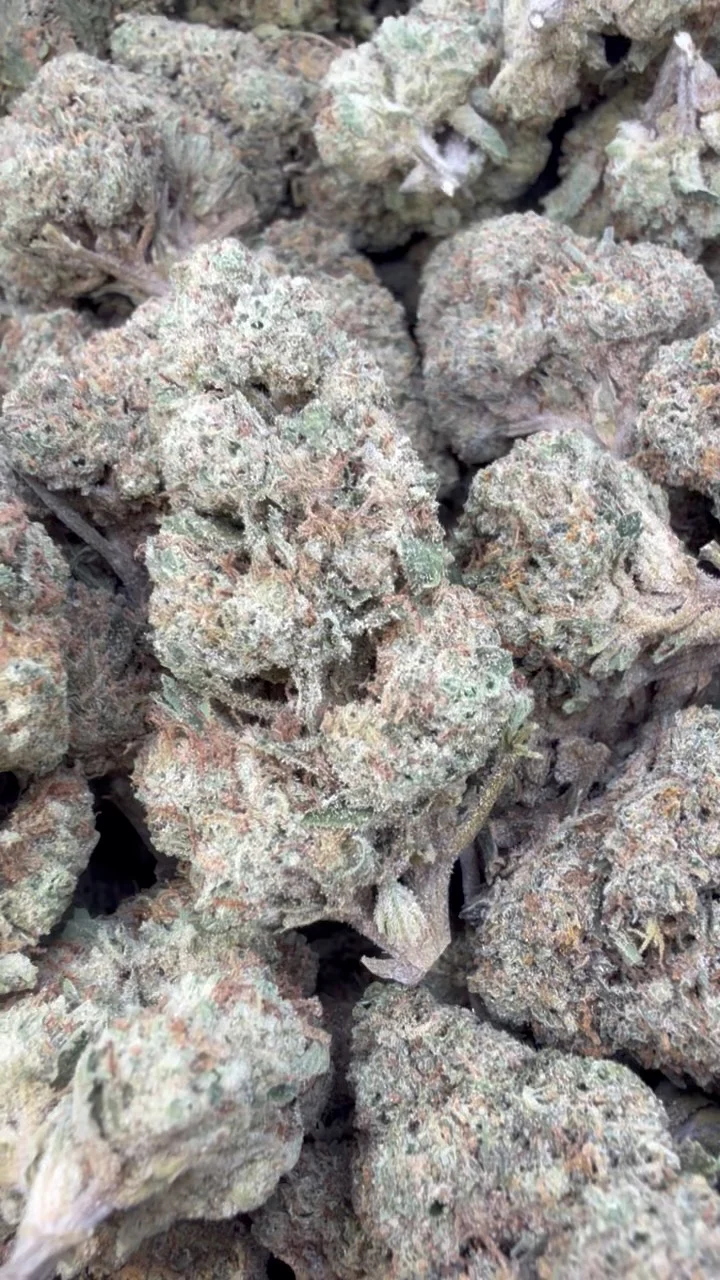 Caramel Apple - Bulk - Hybrid