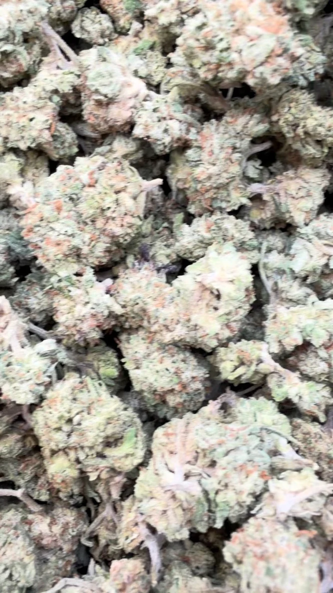 Gorilla Glue Littles - Bulk Littles - Indica