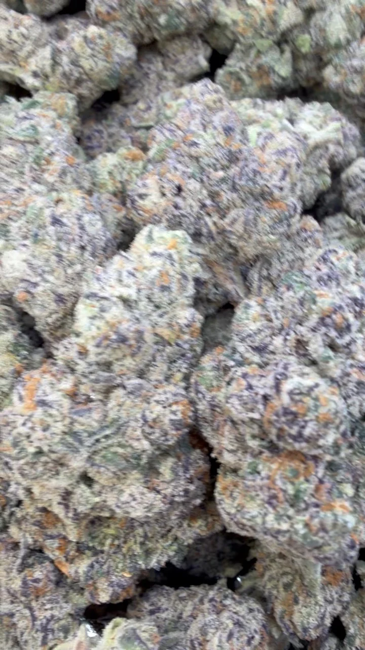 Gummiez - Bulk - Hybrid