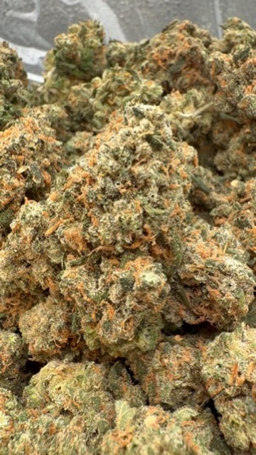 Jack Herer Indoor - Bulk - Sativa
