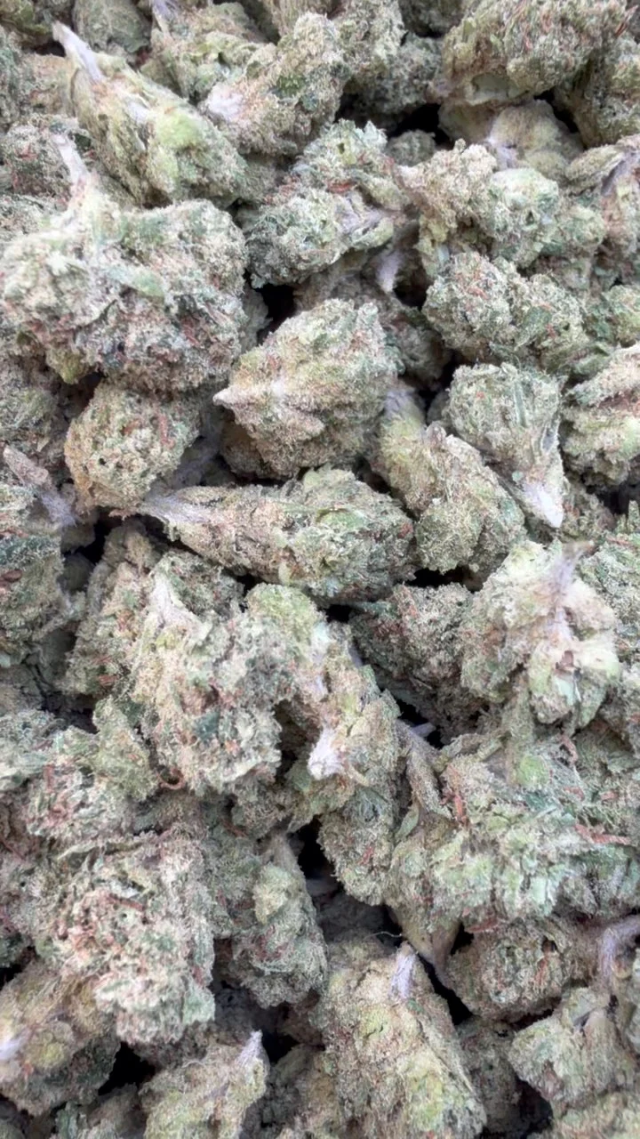 Lemon Fuel OG Littles - Bulk Littles - Hybrid