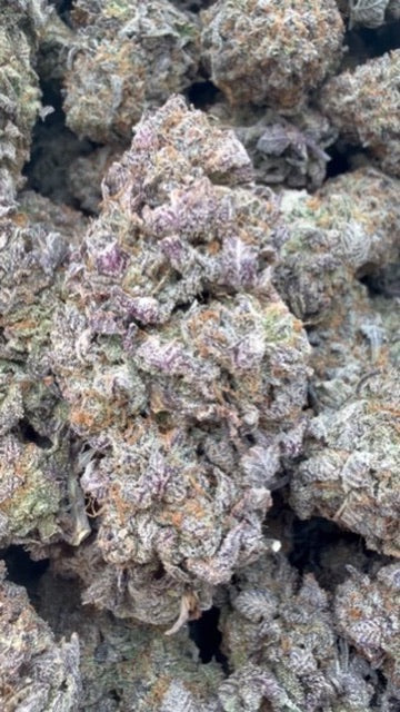 Pre 98 Bubba Indoor - Bulk- Indica